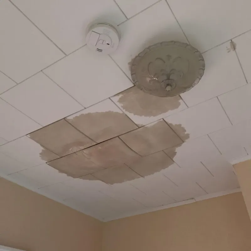 Ceiling Water Damage Repair in Selmer, TN