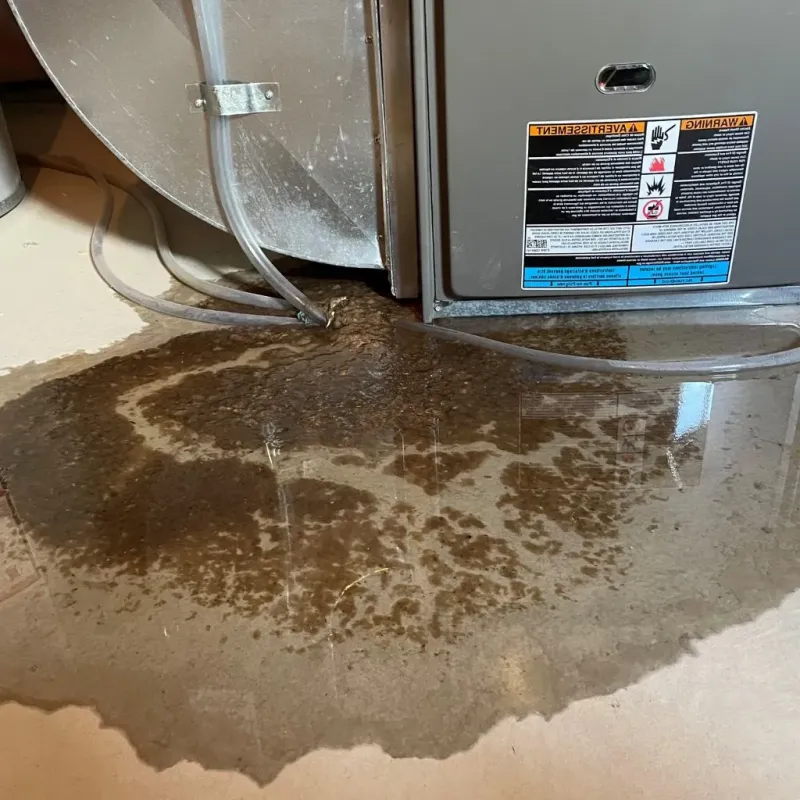 Pipe Burst and Leak Restoration in Selmer, TN