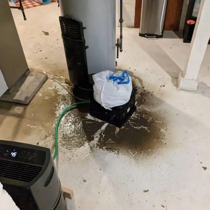 Sewage Backup Cleanup Service in Selmer, TN